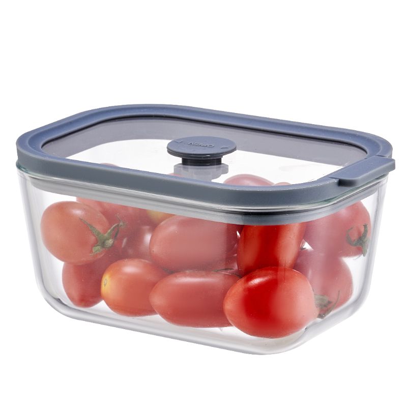 Glass Containers With Silicone Rimmed Glass Lid Manufacturer_Wholesaler